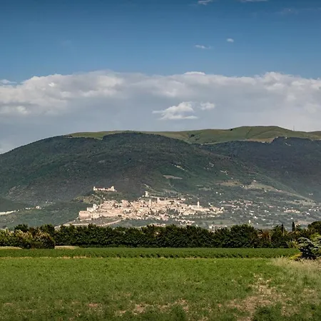 Lejlighed Assisium Bastia Umbra